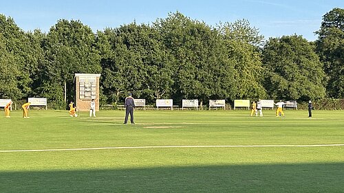 Charity cricket match at Horsham Sports Club