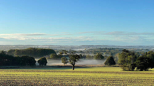 View of Horsham Town and District