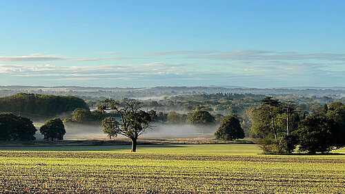 Fields north of Horsham